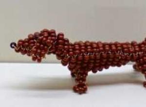 Схема и процесс плетения собаки из бисера Чихуахуа из бисера объемная